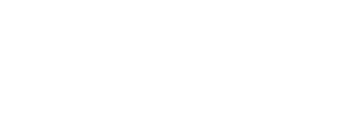 Lanesa Solutions