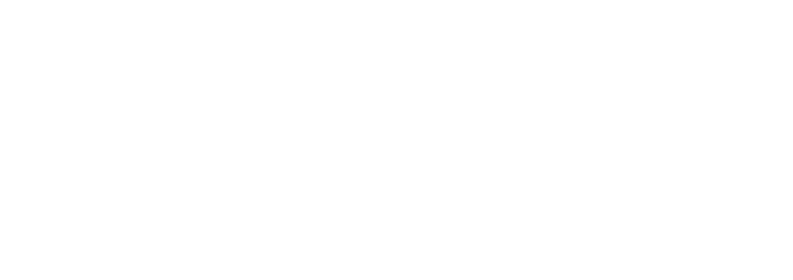 Lanesa Solutions